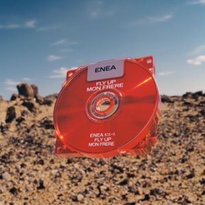 FLY UP MON FRERE by ENEA